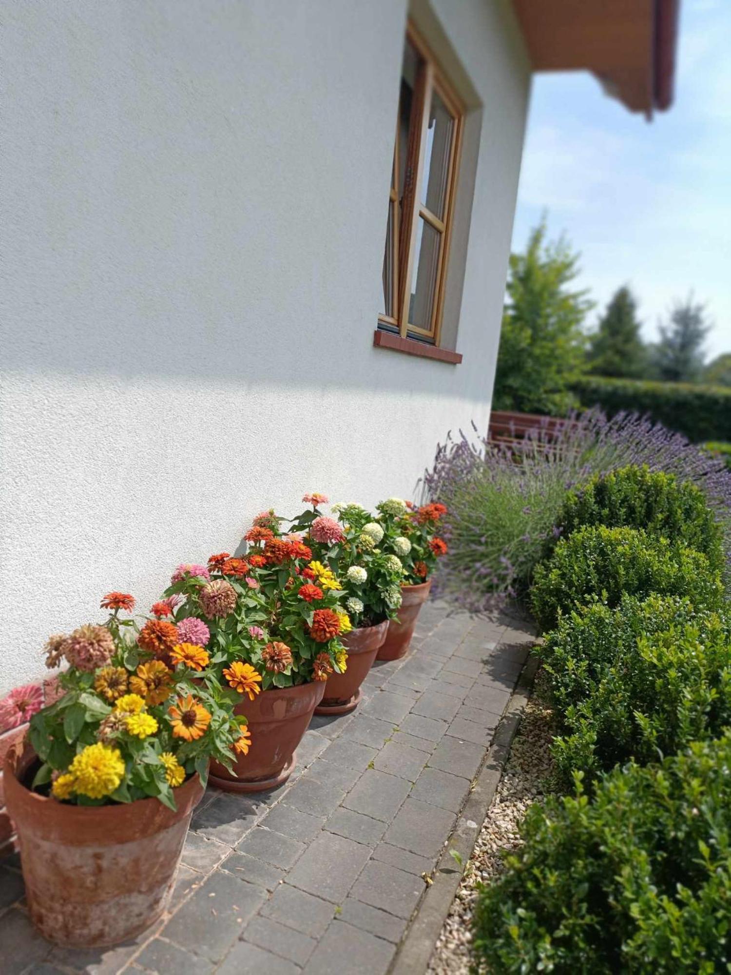 Noclegi "Koniadow" Solina  Exterior photo